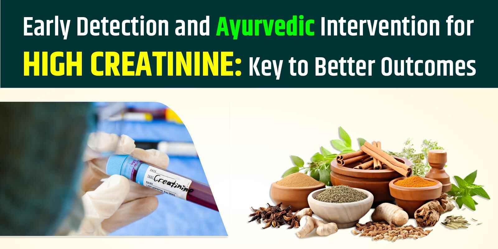 Early Detection and Ayurvedic Intervention for High Creatinine: Key to Better Outcomes